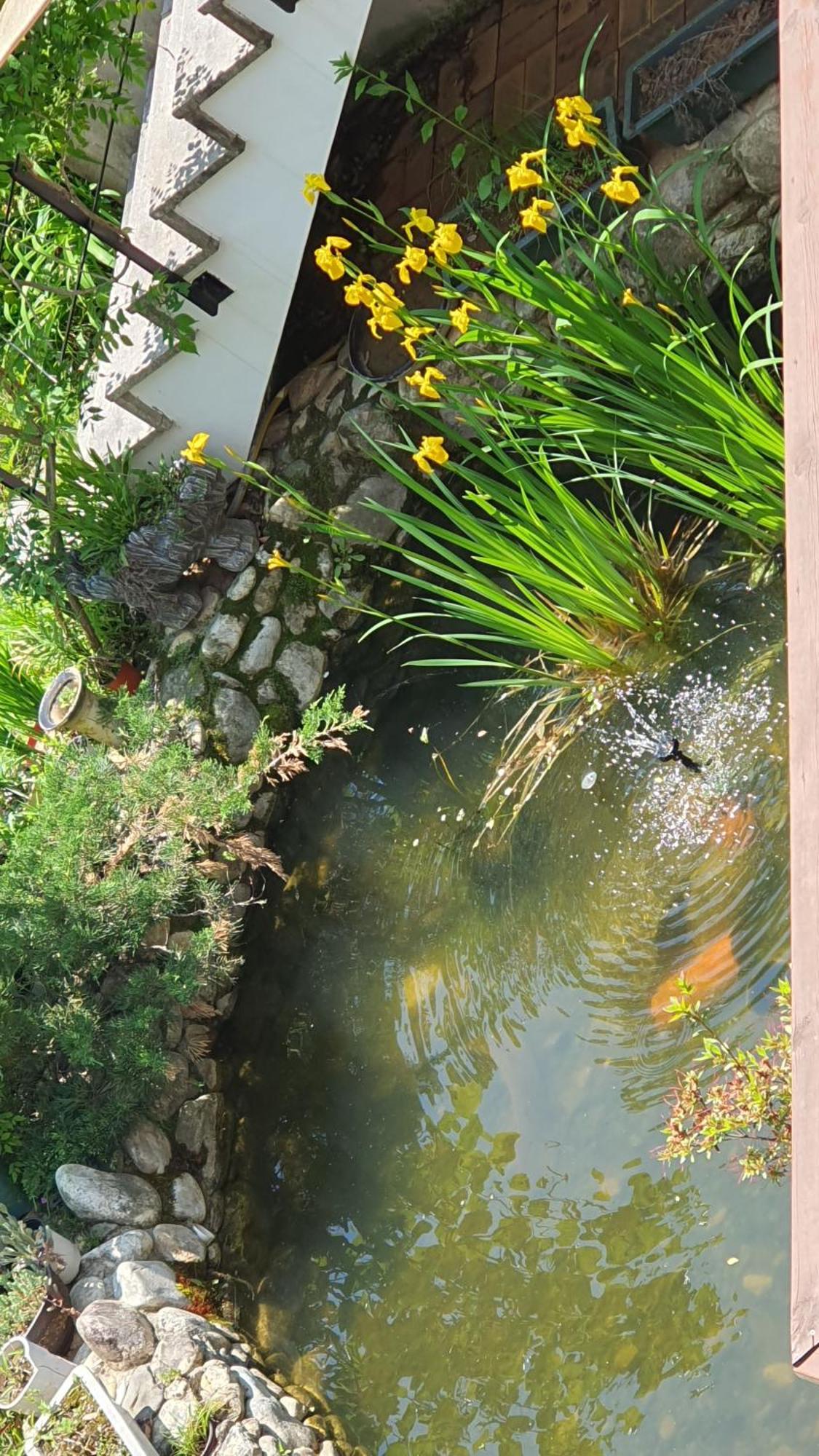 Saint Paul De Vence Villa ดัมยาง ห้อง รูปภาพ