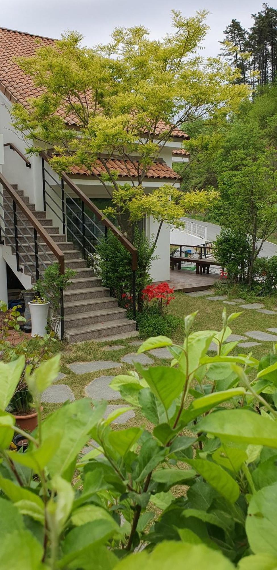 Saint Paul De Vence Villa ดัมยาง ห้อง รูปภาพ