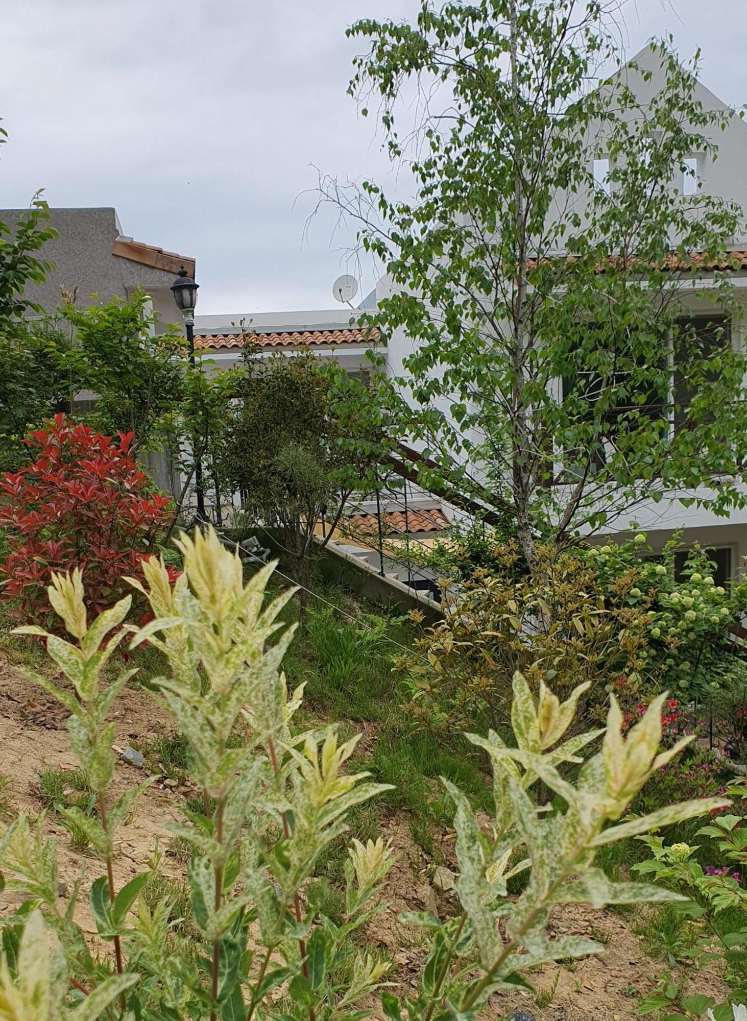 Saint Paul De Vence Villa ดัมยาง ห้อง รูปภาพ