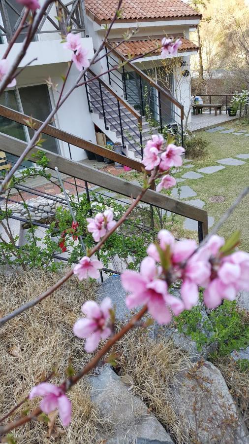 Saint Paul De Vence Villa ดัมยาง ภายนอก รูปภาพ